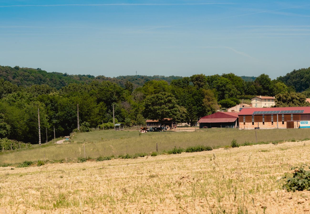Maison à Chantemerle-les-Blés - Maison en galets avec piscine et jacuzzi