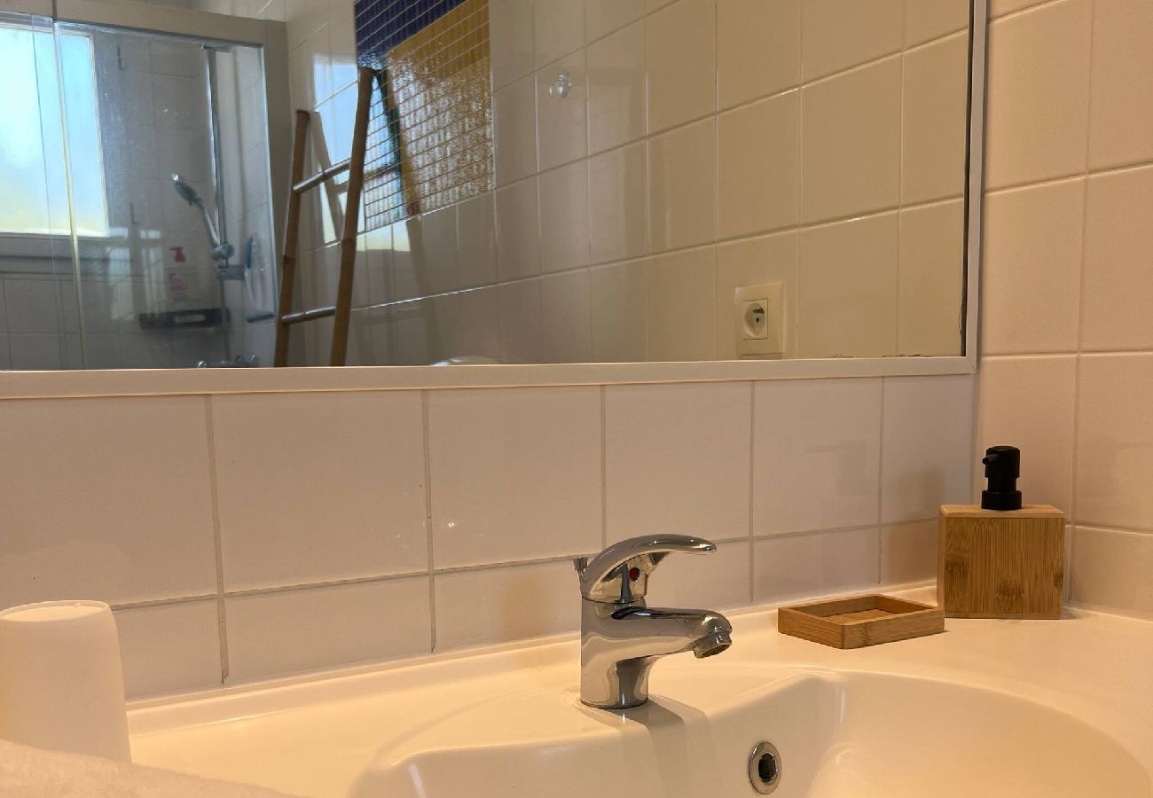 Maison à Châteauneuf-sur-Isère - Le Bord du Lac