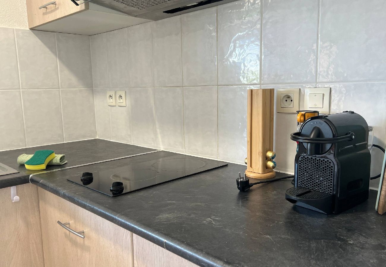 Maison à Châteauneuf-sur-Isère - Le Bord du Lac