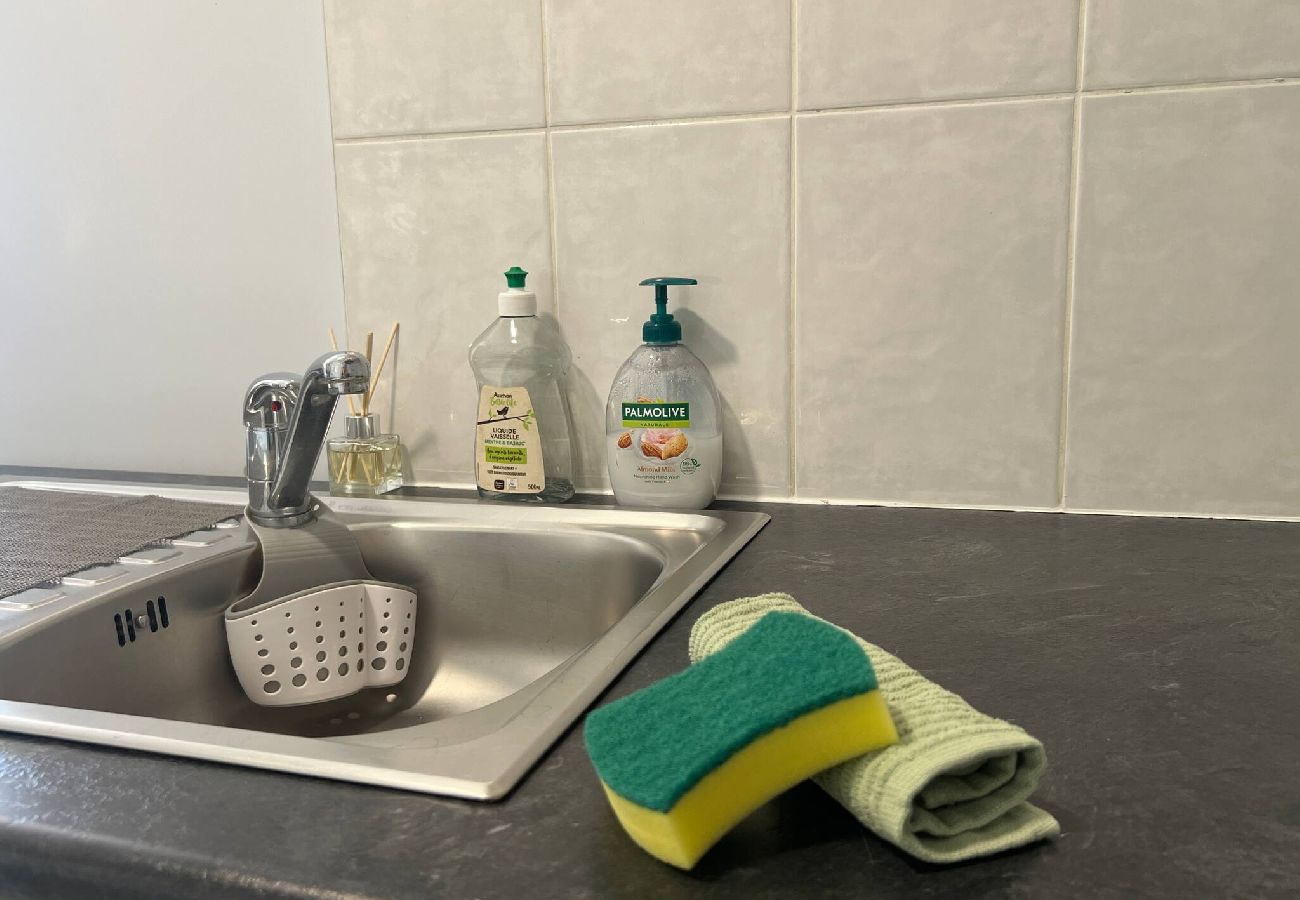 Maison à Châteauneuf-sur-Isère - Le Bord du Lac