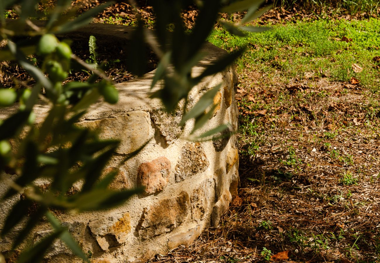 Maison à Loriol-sur-Drôme - Le Mas des deux soleils