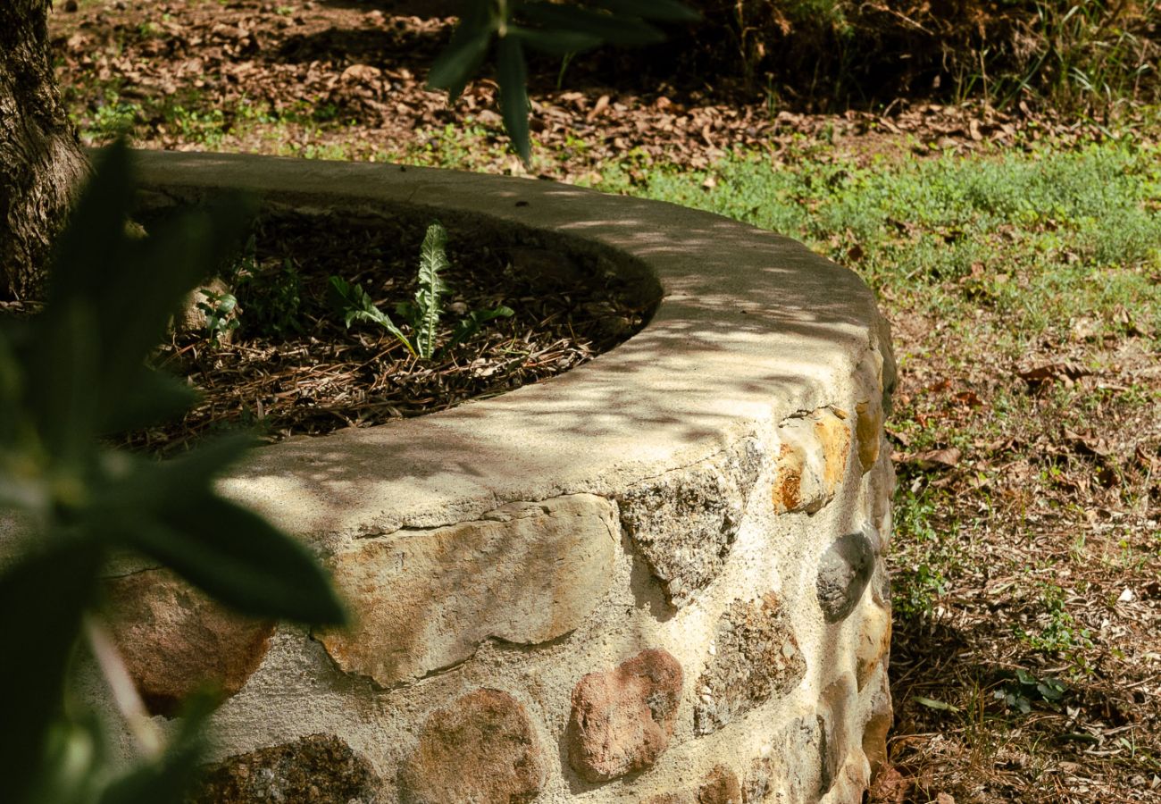 Maison à Loriol-sur-Drôme - Le Mas des deux soleils