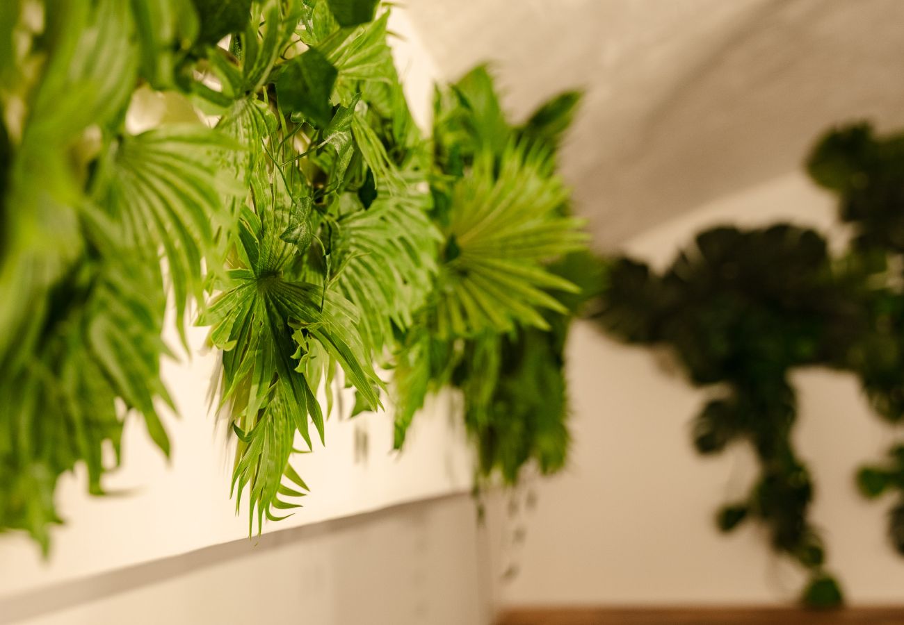 Appartement à Valence - La Cave Voutée - Home Cinéma